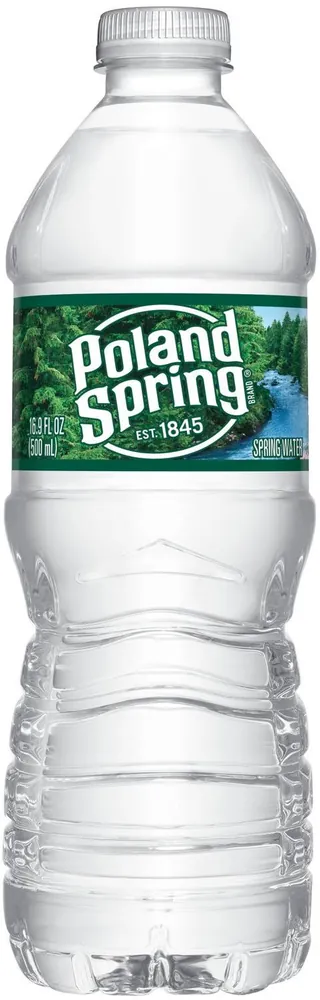 Poland 100% Natural Spring Water Plastic Bottle (16.9 fl oz)